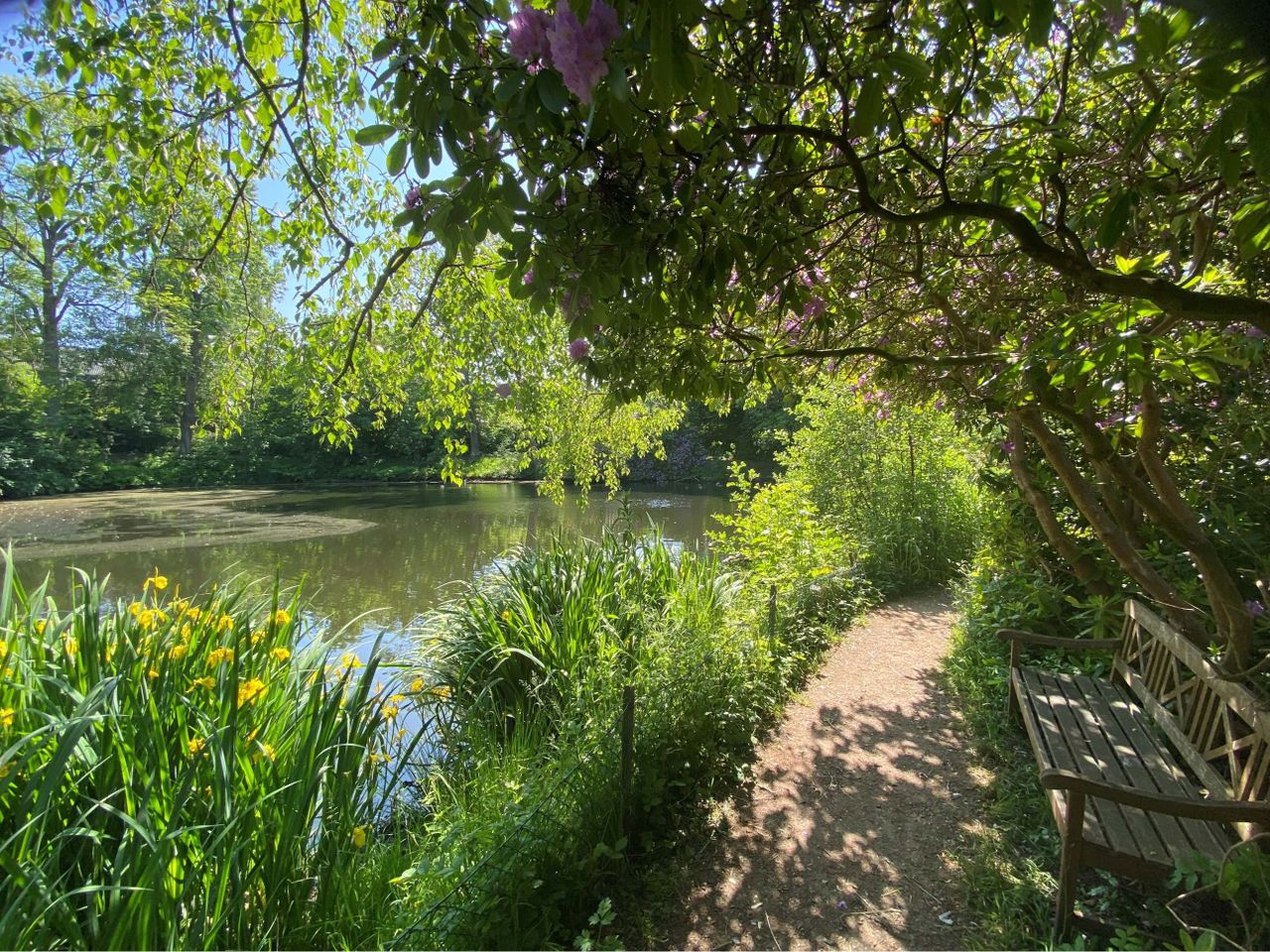 image 04